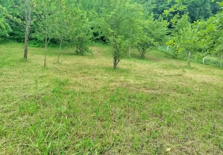 19 sot Torpaq Satılır, Qusar