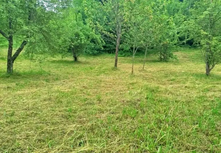 19 sot Torpaq Satılır, Qusar