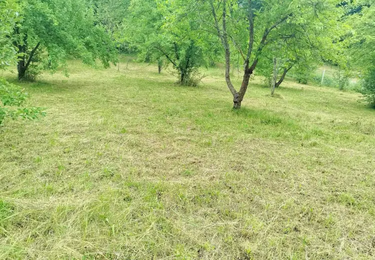 19 sot Torpaq Satılır, Qusar