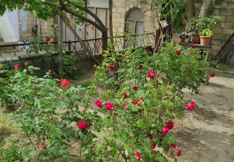 9 otaqlı mənzil Satılır, 8-ci kilometr, Nizami, Bakı