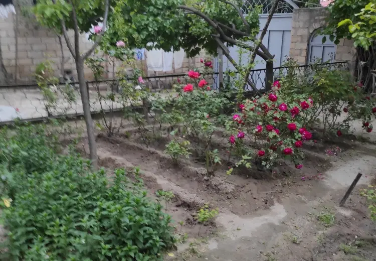 9 otaqlı mənzil Satılır, 8-ci kilometr, Nizami, Bakı