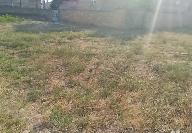 11.5 sot Torpaq Satılır, Bülbülə qəs., Suraxanı, Bakı