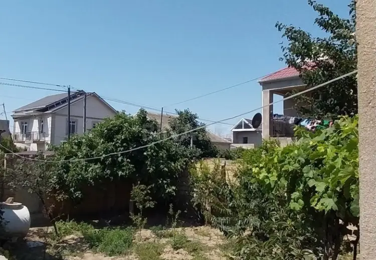 1.3 sot Torpaq Satılır, Saray, Abşeron