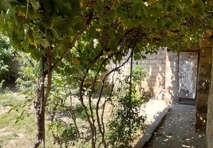 1.3 sot Torpaq Satılır, Saray, Abşeron
