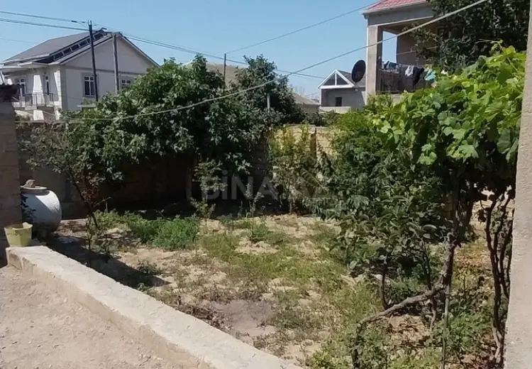 1.3 sot Torpaq Satılır, Saray, Abşeron