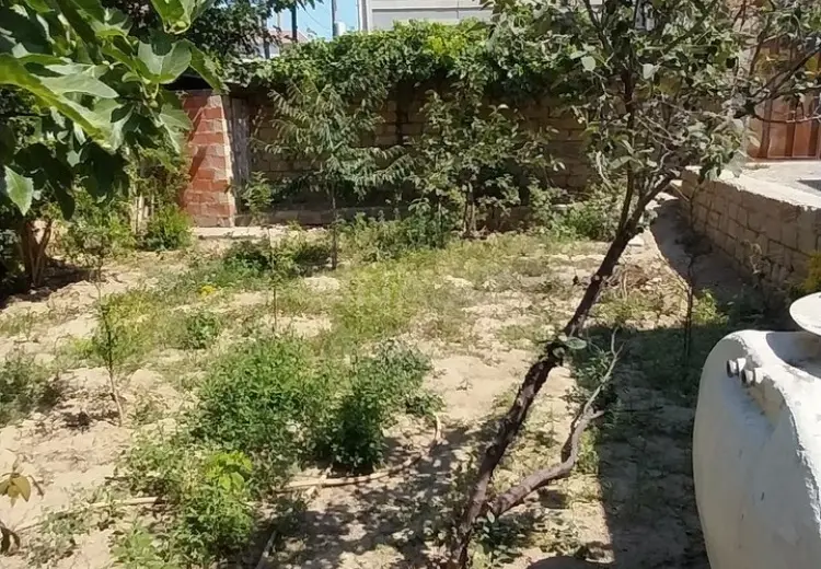 1.3 sot Torpaq Satılır, Saray, Abşeron