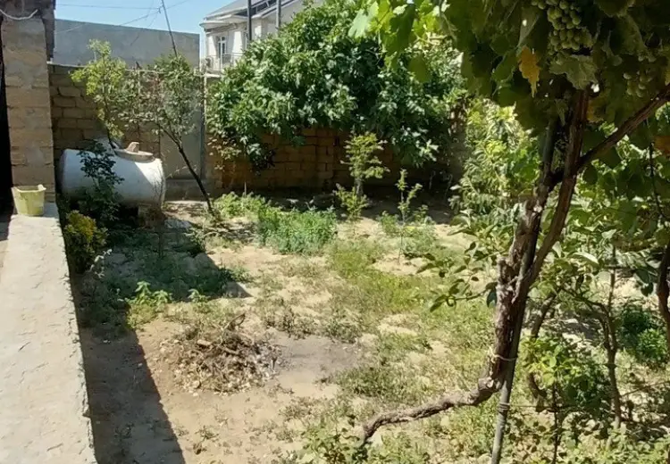 1.3 sot Torpaq Satılır, Saray, Abşeron