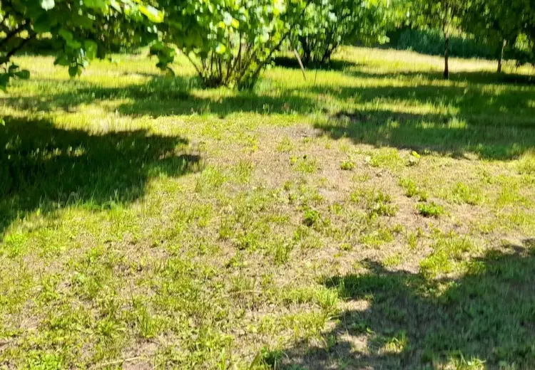 0 m² Obyekt / Ofis , Zaqatala