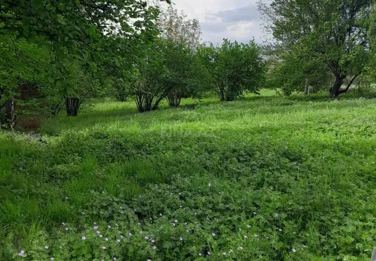 60 sot Torpaq Satılır, İsmayıllı