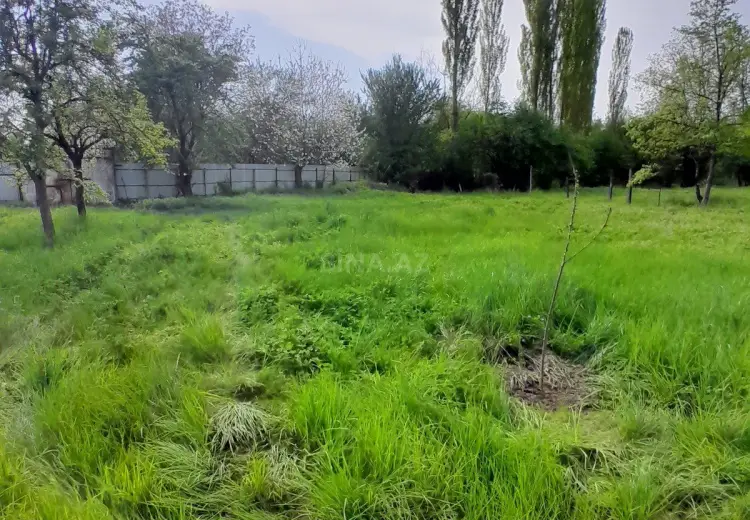 60 sot Torpaq Satılır, İsmayıllı