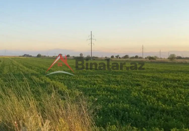 400 sot Torpaq Satılır, Ağcabədi