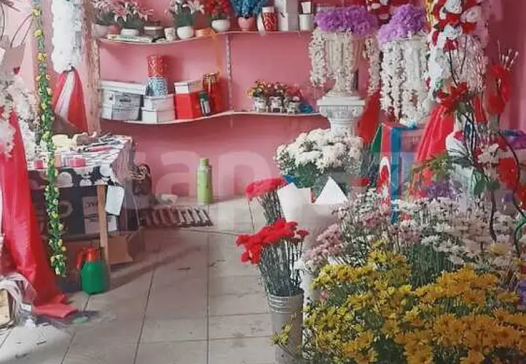 0 m² Obyekt / Ofis , Şabran