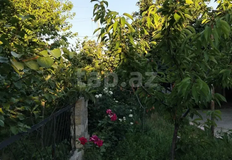 5 otaqlı mənzil , Sumqayıt