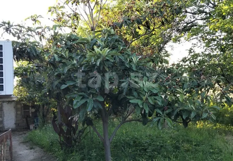 5 otaqlı mənzil , Sumqayıt