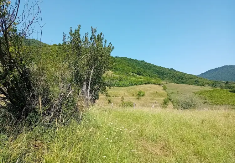 52 sot Torpaq Satılır, İsmayıllı