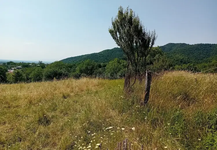 52 sot Torpaq Satılır, İsmayıllı
