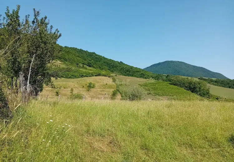 52 sot Torpaq Satılır, İsmayıllı