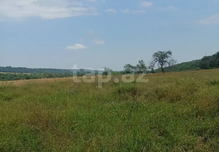0 m² Obyekt / Ofis , Quba