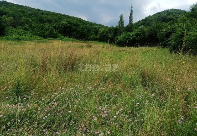 0 m² Obyekt / Ofis , Quba