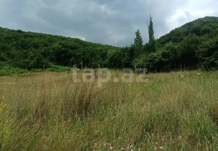 0 m² Obyekt / Ofis , Quba