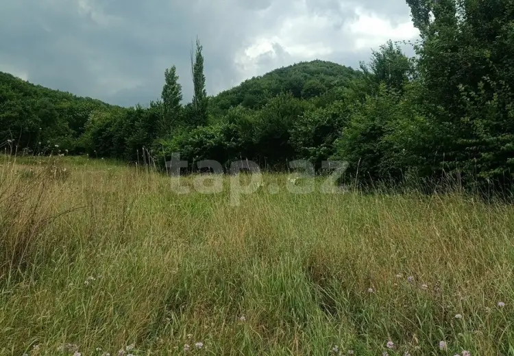 0 m² Obyekt / Ofis , Quba