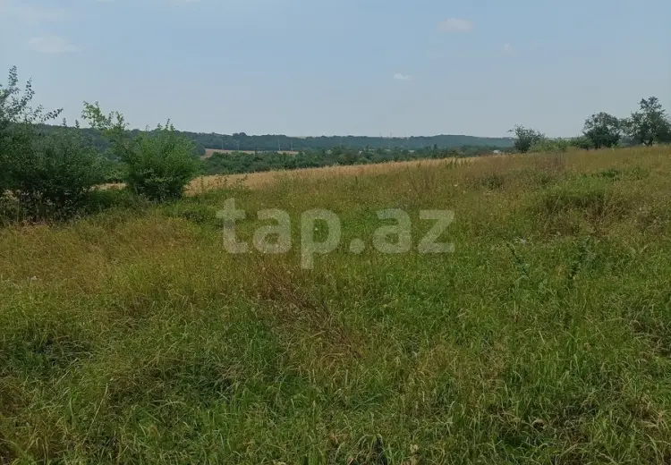 0 m² Obyekt / Ofis , Quba