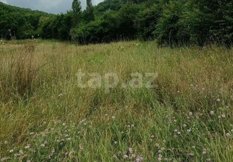 0 m² Obyekt / Ofis , Quba