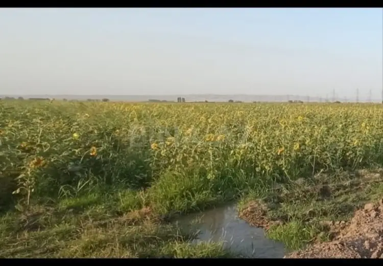 200 sot Torpaq Satılır, Samux