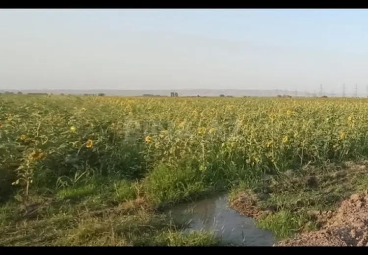 200 sot Torpaq Satılır, Samux