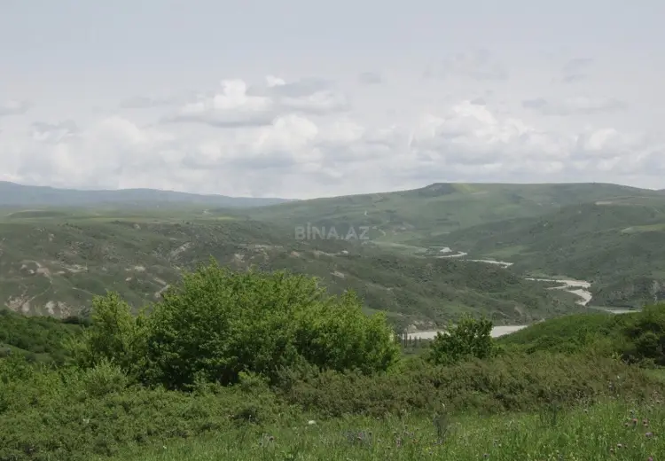 12 sot Torpaq Satılır, Şamaxı