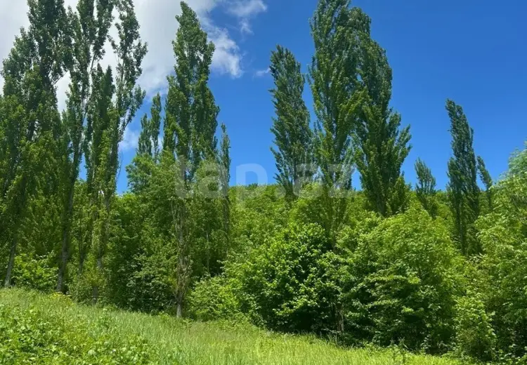 0 m² Obyekt / Ofis , Qusar
