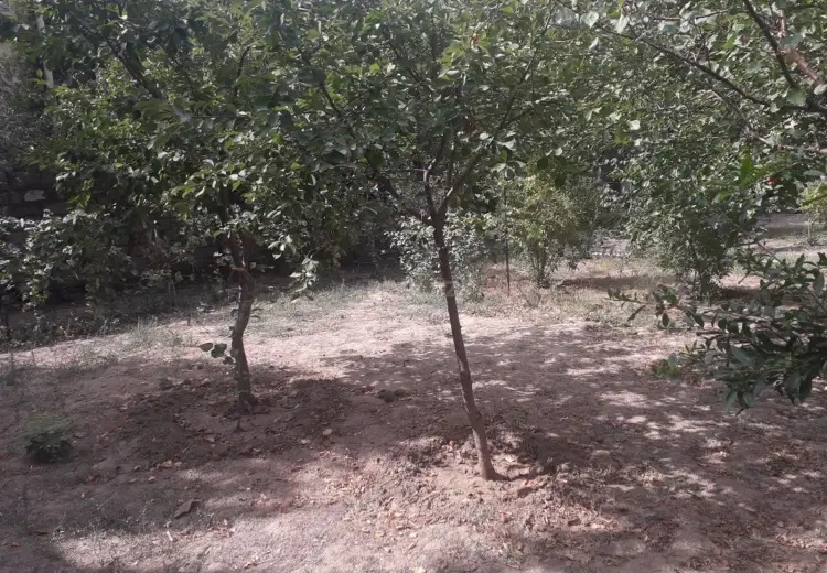 23 sot Torpaq Satılır, Şağan, Xəzər, Bakı