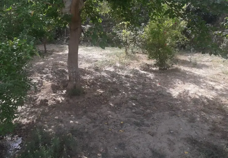 23 sot Torpaq Satılır, Şağan, Xəzər, Bakı
