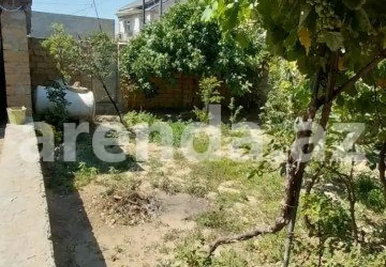 1.3 sot Torpaq Satılır, Saray, Abşeron