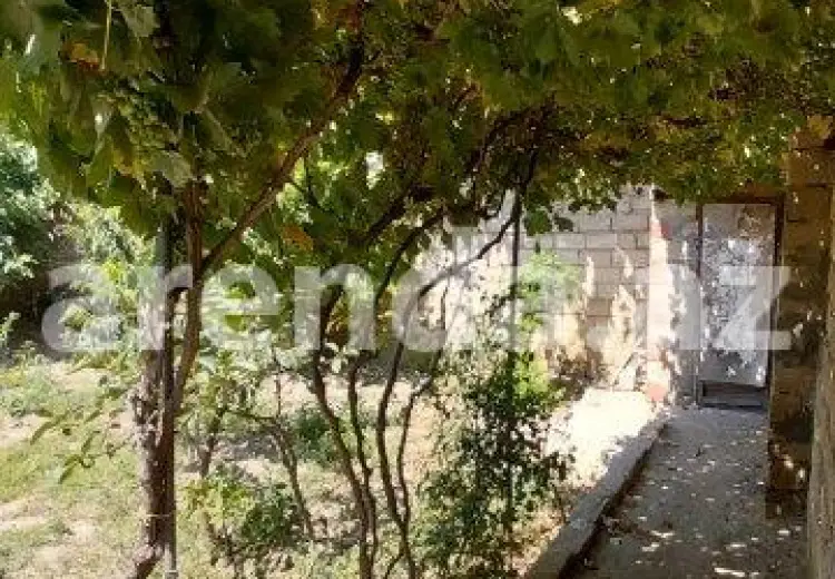 1.3 sot Torpaq Satılır, Saray, Abşeron