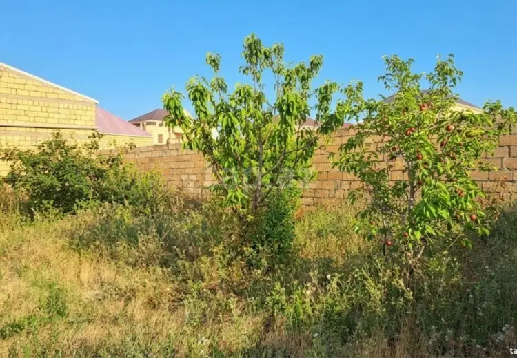 0 m² Obyekt / Ofis , Saray, Abşeron