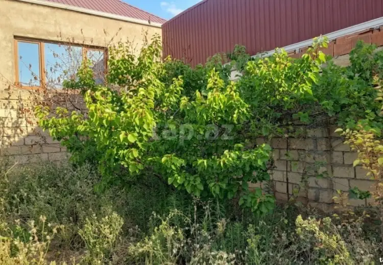 0 m² Obyekt / Ofis , Saray, Abşeron