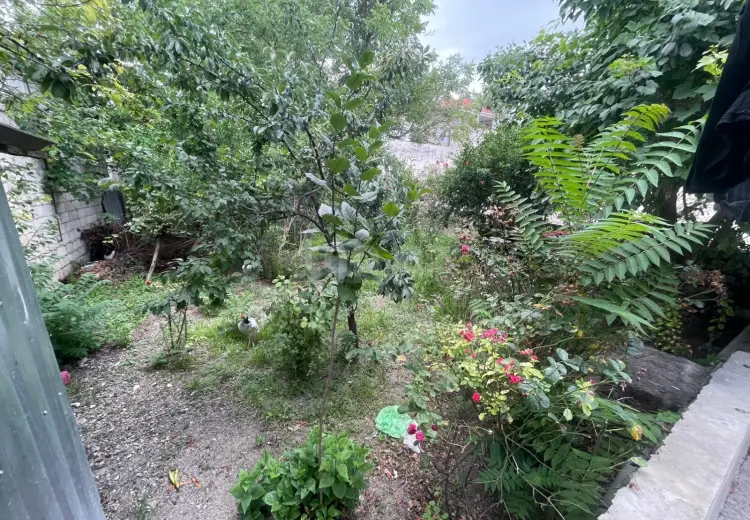 4 otaqlı mənzil , Şamaxı