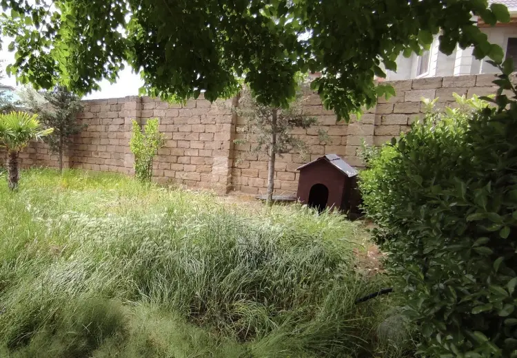 3.5 sot Torpaq Satılır, Saray, Abşeron