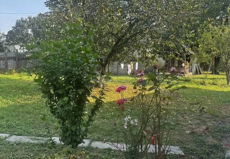 8 sot Torpaq Satılır, Qəbələ