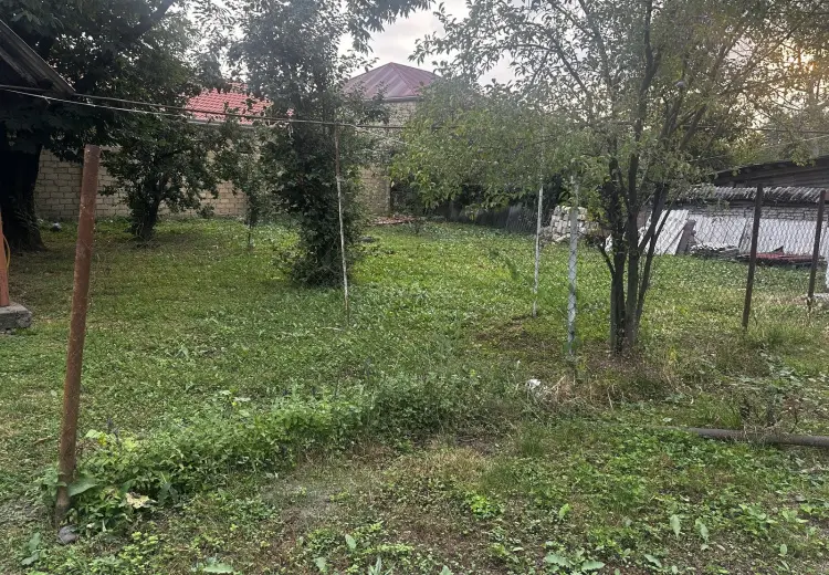 8 sot Torpaq Satılır, Qəbələ