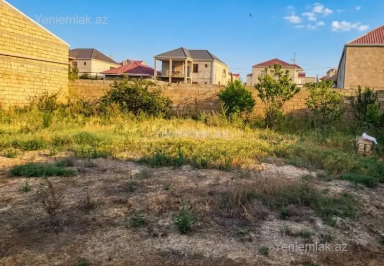 6 sot Torpaq Satılır, Saray, Abşeron