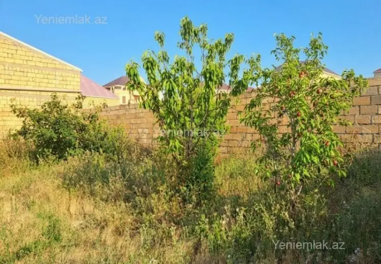 6 sot Torpaq Satılır, Saray, Abşeron