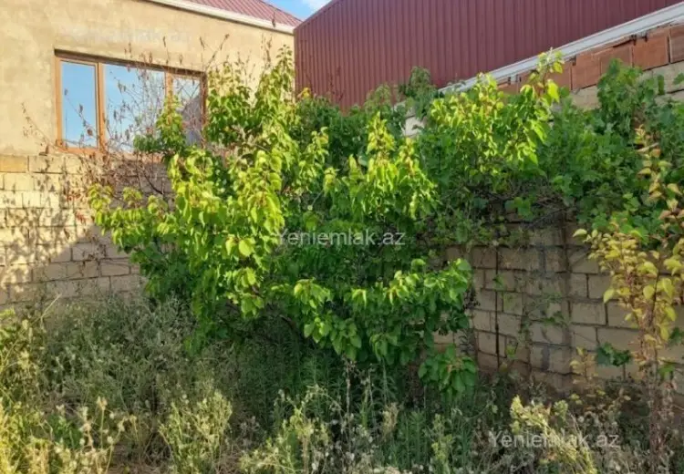 6 sot Torpaq Satılır, Saray, Abşeron