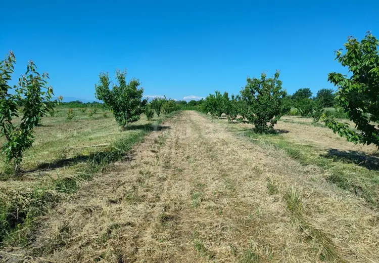 0 m² Obyekt / Ofis , Bakı