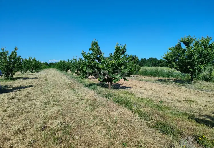 0 m² Obyekt / Ofis , Bakı