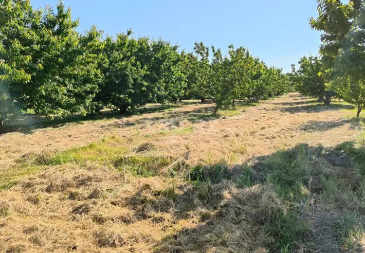 0 m² Obyekt / Ofis , Bakı