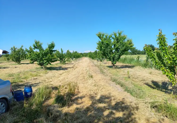 0 m² Obyekt / Ofis , Bakı