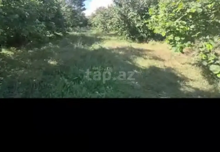 0 m² Obyekt / Ofis , Qəbələ