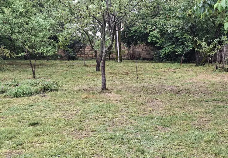 10 sot Torpaq Satılır, Qəbələ
